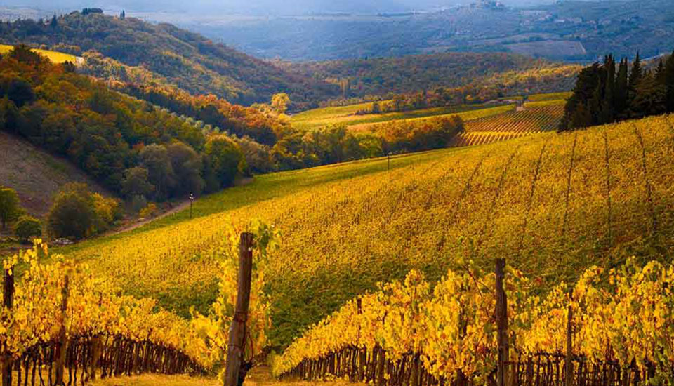 Chianti Day tour from Florence 